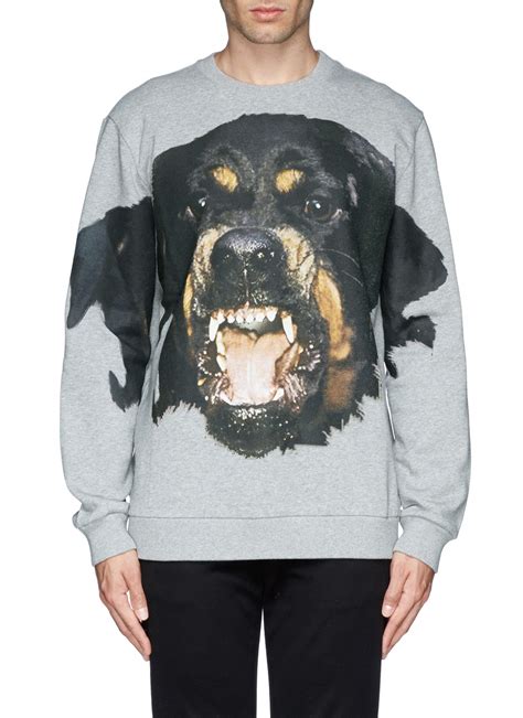 rottweiler sweater givenchy|givenchy rottweiler sweatshirt.